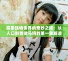 探索动物世界的奇妙之旅：从人口到兽猪马狗的第一集解读