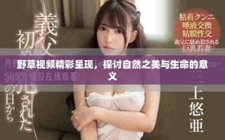 野草视频精彩呈现，探讨自然之美与生命的意义