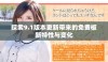 探索9.1版本更新带来的免费板新特性与变化