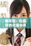 春花焰：在盛开的花海中寻找爱与希望的故事