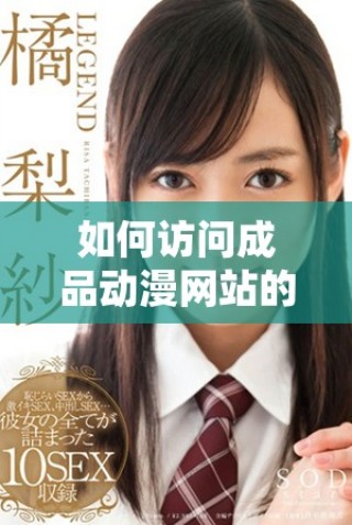 如何访问成品动漫网站的网页版入口详细指南与步骤解析