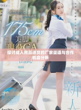探讨成人用品进货的厂家渠道与合作机会分析