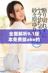 全面解析9.1版本免费版ake的功能与使用体验