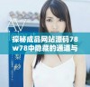 探秘成品网站源码78w78中隐藏的通道与功能解析