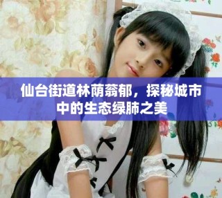 仙台街道林荫蓊郁，探秘城市中的生态绿肺之美