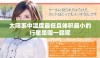 太阳系中温度最低且体积最小的行星是哪一颗呢