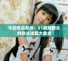 今日吃瓜总结：51朝阳群众的热议话题大盘点