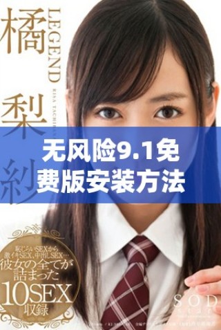 无风险9.1免费版安装方法全面解析，轻松享受动漫乐趣