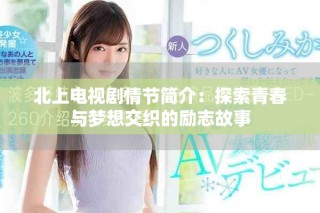北上电视剧情节简介：探索青春与梦想交织的励志故事