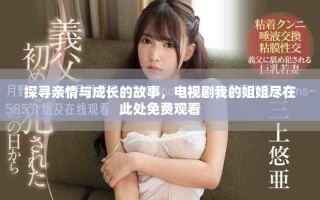 探寻亲情与成长的故事，电视剧我的姐姐尽在此处免费观看