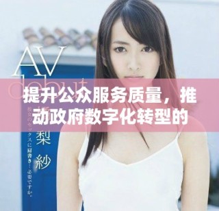提升公众服务质量，推动政府数字化转型的新举措与实践探讨