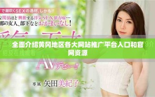 全面介绍黄冈地区各大网站推广平台入口和官网资源