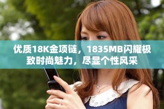 优质18K金项链，1835MB闪耀极致时尚魅力，尽显个性风采