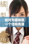 如何为猫咪取一个独特有趣的地域网名技巧分享