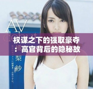 权谋之下的强取豪夺：高官背后的隐秘故事与权力游戏