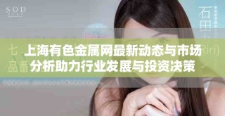 上海有色金属网最新动态与市场分析助力行业发展与投资决策
