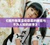 《揭开帐篷深处隐藏的秘密与不为人知的故事》