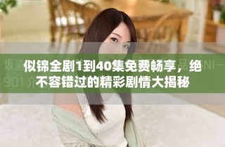 似锦全剧1到40集免费畅享，绝不容错过的精彩剧情大揭秘