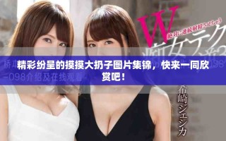 精彩纷呈的摸摸大扔子图片集锦，快来一同欣赏吧！