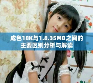 成色18K与1.8.35MB之间的主要区别分析与解读