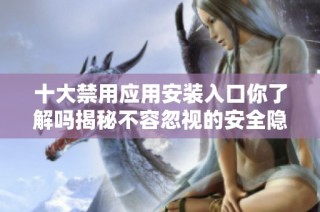 十大禁用应用安装入口你了解吗揭秘不容忽视的安全隐患