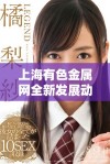 上海有色金属网全新发展动态解读与行业趋势分析