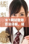 9·1网站登陆方法详解，轻松进入平台获取所需信息