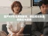 国产AV作品再创新高，掀起观众热潮的热议与反响