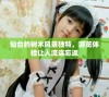 仙台的树木风景独特，游览体验让人流连忘返