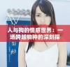 人与狗的情感世界：一场跨越物种的深刻探讨与细腻呈现