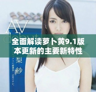 全面解读萝卜黄9.1版本更新的主要新特性与改进内容