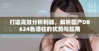 打造高效分析利器，解析国产DB624色谱柱的优势与应用