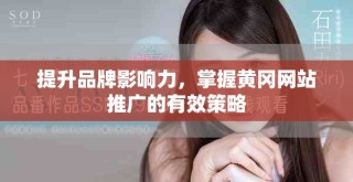 提升品牌影响力，掌握黄冈网站推广的有效策略