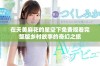 在天美麻花的星空下免费观看完整版乡村故事的奇幻之旅