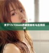 关于17c13nom的最新解析与应用探讨