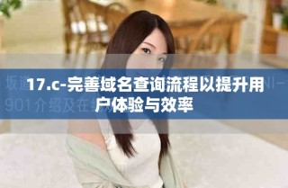 17.c-完善域名查询流程以提升用户体验与效率
