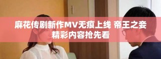 麻花传剧新作MV无痕上线 帝王之妾精彩内容抢先看