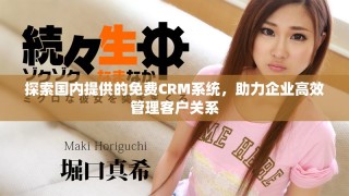 探索国内提供的免费CRM系统，助力企业高效管理客户关系