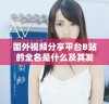国外视频分享平台B站的全名是什么及其发展历程解析