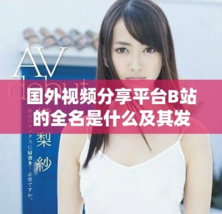 国外视频分享平台B站的全名是什么及其发展历程解析