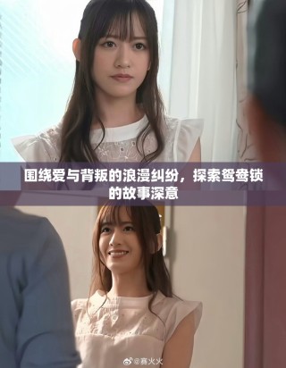 围绕爱与背叛的浪漫纠纷，探索鸳鸯锁的故事深意