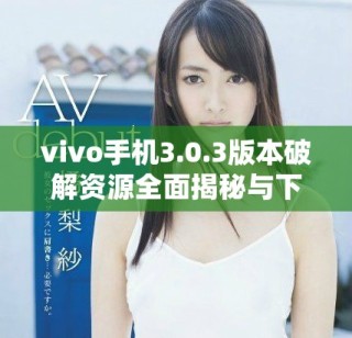 vivo手机3.0.3版本破解资源全面揭秘与下载指南