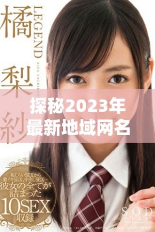探秘2023年最新地域网名及其文化内涵分析