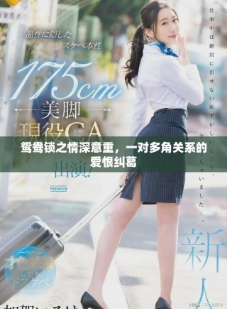 鸳鸯锁之情深意重，一对多角关系的爱恨纠葛