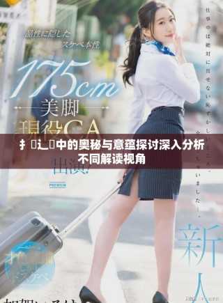 扌喿辶畐中的奥秘与意蕴探讨深入分析不同解读视角