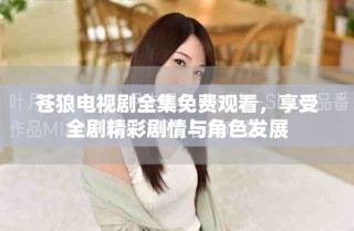 苍狼电视剧全集免费观看，享受全剧精彩剧情与角色发展