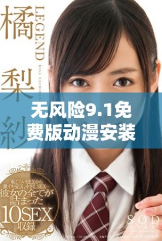 无风险9.1免费版动漫安装指南，轻松获取精彩动漫体验