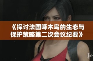 《探讨法国啄木鸟的生态与保护策略第二次会议纪要》