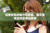 探索快色的魅力与特色，揭示其背后的故事与情感
