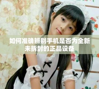 如何准确辨别手机是否为全新未拆封的正品设备